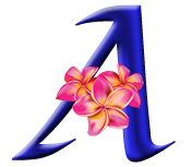 Alex with Aloha Logo